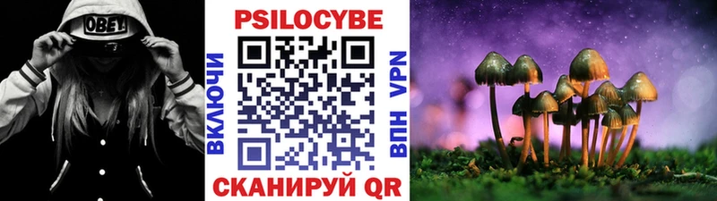 наркошоп Волчанск Псилоцибиновые грибы Magic Shrooms